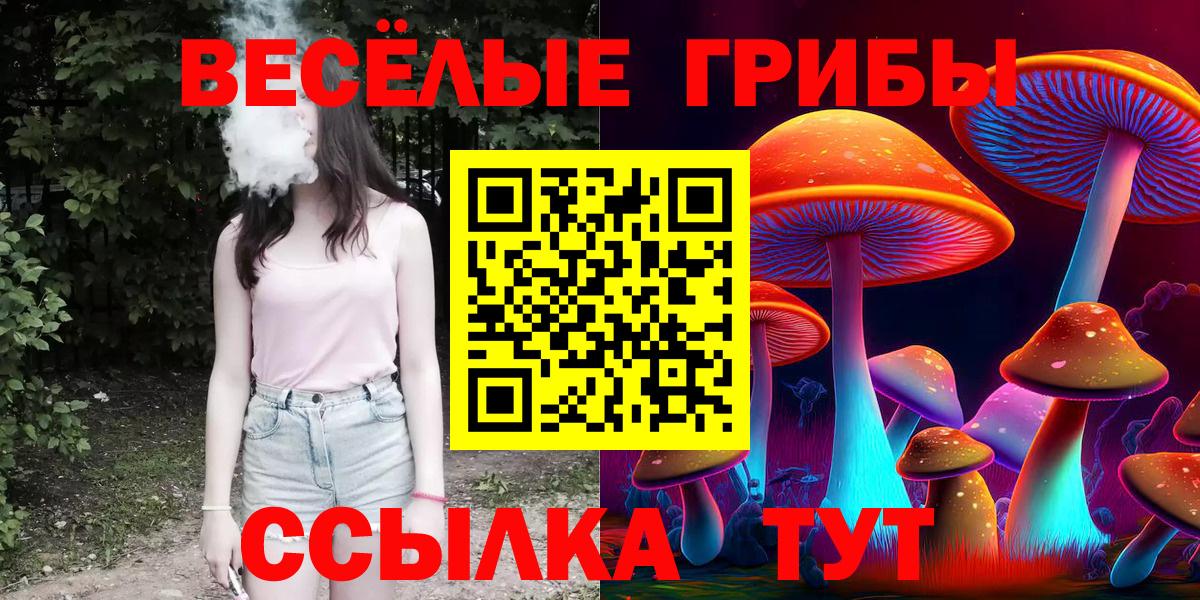 Ковров  Псилоцибиновые грибы мухоморы  Вход с VPN 